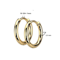Miniatyrbild 2 av 2: REA__REA___1 Par 15 mm Hoops örhängen i Guldpläterad 316L  stål