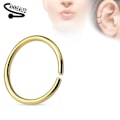 Miniatyrbillede 5 af 9: 2 stk. 10 mm Piercing ring i udglødet 316L kirurgisk stål (8 valg) 4 Guld