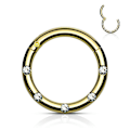 Miniatyrbilde 7 av 8: 10 mm Segmentring i IP 316L kirurgisk stål med 5 White CZ 5 Rose Guld