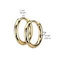 Miniatyrbillede 3 af 3: 1 Par 10 mm Hoops örhängen i  316L kirurgiskt stål