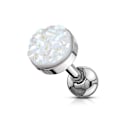 Miniatyrbild 1 av 3: Tragus/Cartilage Piercing med 6 mm. Vit Druzy sten Vit