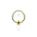 Miniatyrbild 2 av 3: 8 mm Segment Ring i IP Roseguld Pläterad 316L kirurgiskt stål
