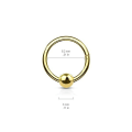 Pikkukuva 2 / 3: 8 mm Segment Ring i IP Guld Pläterad 316L kirurgiskt stål