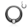 Miniatyrbillede 1 af 3: 8 mm Segment Ring i IP 316L kirurgiskt stål med vit CZ 4 Svart