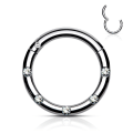 Miniatyrbilde 6 av 8: 10 mm Segmentring i IP 316L kirurgisk stål med 5 White CZ 5 Rose Guld