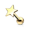 Miniatyrbild 1 av 3: Stjärnormad Tragus/Cartilage Studs i Guld IP-316L stål Guld