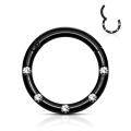 Pikkukuva 1 / 2: 10 mm Segment Ring i IP 316L kirurgiskt stål med 5 Vita CZ