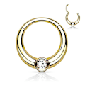 Miniatyrbillede 1 af 4: 8 mm Segment Ring i IP 316L kirurgiskt stål med vit CZ 2 Guld