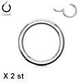 Miniatyrbilde 1 av 2: 2 x 10 mm"Hinged"Segment Piercingring i Implant Titanium 1,2mm Titanium