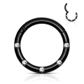 Miniatyrbilde 5 av 8: 10 mm Segmentring i IP 316L kirurgisk stål med 5 White CZ 5 Rose Guld