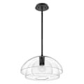 Miniatyrbillede 1 af 5: Plafonnier - Elstead - Hinkley Lotus - Sort - Glas - Moderne Design