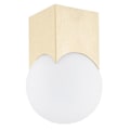Miniatyrbillede 2 af 3: Downlight - Argon - AUSTIN - Opale Mat - Børstet Messing - E14 - 1 Pære