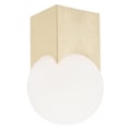 Miniatyrbillede 1 af 3: Downlight - Argon - AUSTIN - Opale Mat - Børstet Messing - E14 - 1 Pære