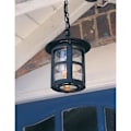 Miniatyrbillede 3 af 5: Loftlampe - Elstead - Hereford - 1 pære - IP43 - Sort svart