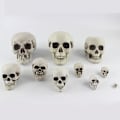 Miniatyrbillede 2 af 2: Halloween festlokale layout rekvisitter hjemsøgt hus dekorationer til menneskelig rædsel kranie model