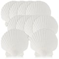 Miniatyrbillede 1 af 5: 15 stk. Naturlige Havskaller Store Hvide, 10-12 cm Kammuslinger til DIY Håndværk, Madservering, Bagning{hh]