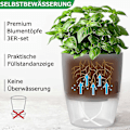 Miniatyrbillede 3 af 5: Krydderurtepottesæt, vindueskarm, selvvandende, 3-pak, krydderurtehave til køkkenet, 18,2 x 11 x 15,3 cm, til friske krydderurter i køkkenet, grå {hh]