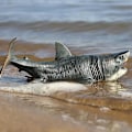 Pikkukuva 4 / 5: Suuri Megalodon-hai lelu, muovinen merieläinhahmo, realistinen merihirviöleluhahmo{EE}