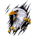 Miniatyrbillede 2 af 5: Tower Eagle Decal, Dyr Ulv Ørn PVC Bilmærkat Vandtæt