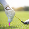 Pikkukuva 7 / 7: Zivisk Pinkit Golf Tiit Muovia 57MM 100 Kappaleen Pakkaus Pitkät Linnan Golf Tiit 2-1/4 Tuumaa{EE}