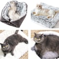 Miniatyrbilde 5 av 5: Katteseng, vaskbar fluffy kattematte - 2-i-1 myk sofateppe