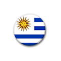 Miniatyrbillede 5 af 11: 32 stk. VM-flag broche