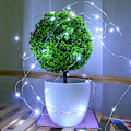 Pikkukuva 4 / 4: 20LED-aurinkokenkäketju Viinipulloon - Sadunvalot