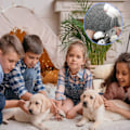 Pikkukuva 7 / 7: Kynsienleikkurit koirille ja kissoille