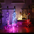 Miniatyrbillede 6 af 7: 10 stk. Vinflaske Lampe Julepynt
