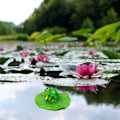 Miniatyrbillede 6 af 7: Flydende Blad Dekoration Harpiks Kunstige Blade Statue Ornament til Pool Springvand Akvarium Vand