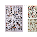 Miniatyrbild 9 av 10: Gobelängsmushroom TYP 3 TYP 3