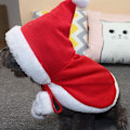 Miniatyrbillede 1 af 9: Julekostume til kat og hund - blød kattekappe