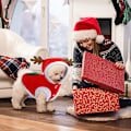 Miniatyrbild 5 av 7: Hunddräkter Jul älgdräkt, Jul hundkläder, Jul kattkläder