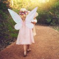 Miniatyrbillede 2 af 7: Fe-vinger Prinsesse Klæd-ud, Sommerfuglevinger