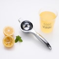 Miniatyrbillede 1 af 4: Citronpresser Saftpresser Husholdningsfrugt Citronpresser Saftpresser Zink Legering Æble Orange Manuel Saftpresser Lemon Squeezer Large Size