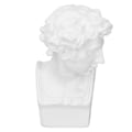 Miniatyrbillede 2 af 8: Harpiks Hoved Skulptur Dekorativ Ornament Nordisk Mini Buste Kunst Figur til Studie Soveværelse Stue