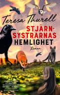 Stjärnsystrarnas hemlighet 9789188187321