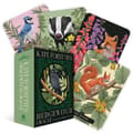 Kate Forsyth's Hedgewitch Oracle 9781923208131