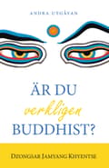 Är du verkligen buddhist? 9789152719459