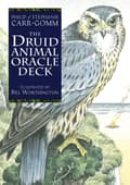 Druid Animal Oracle Deck Reissue 9781800691254