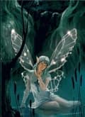Celtic Fairy 9788865271582