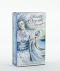 Ghosts & Spirits Tarot 9781572816619