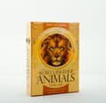 Secret Language Of Animals 9781922161086