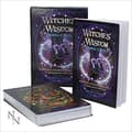 Witches Wisdom Oracle Cards 9780995551602