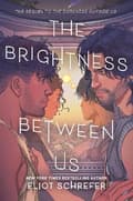 The Brightness Between Us 9780063343764