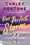 Our Perfect Storm 9798217191970