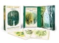 Forest Magic Oracle 9780762485352