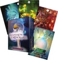 Shamanens drömorakel 9788794098083