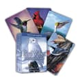 Bird Vibes Meditation Cards 9781582709109