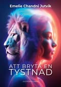 Att bryta en tystnad 9789189957763